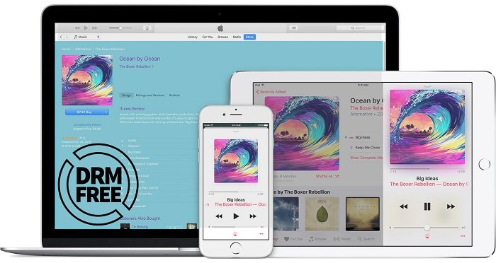 Backup Apple Music to PC