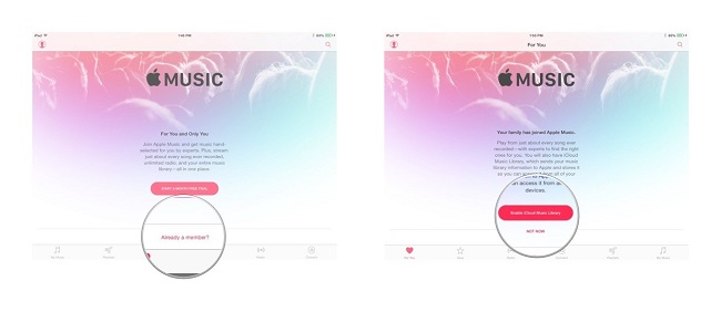 Apple Music Family Sharing Subscription