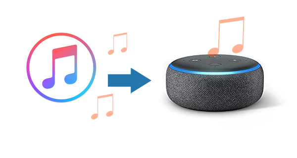 Play Apple Music on Echo Dot