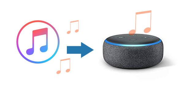 Three Methods Stream Apple Music Amazon Echo Dot | Macsome