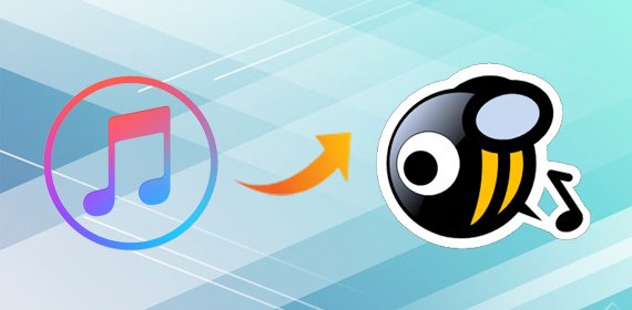 Stream Apple Music on MusicBee