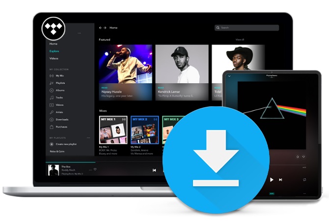 Tidal Music on computer |