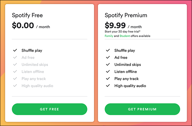 Spotify Premium user