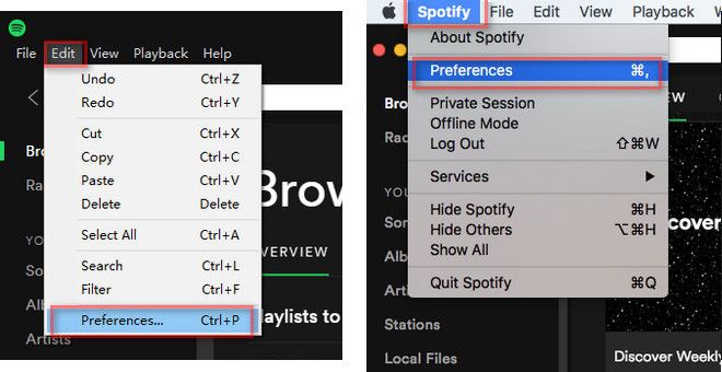 Open Spotify Preferences