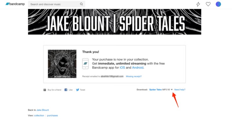 bandcamp purchased page