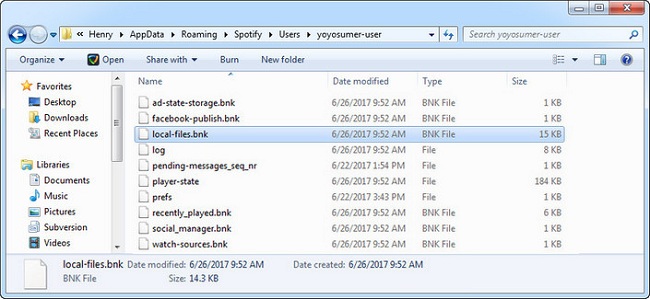 delete local-files cache in Spotify