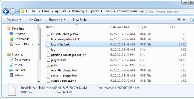 delete local-files cache in Spotify