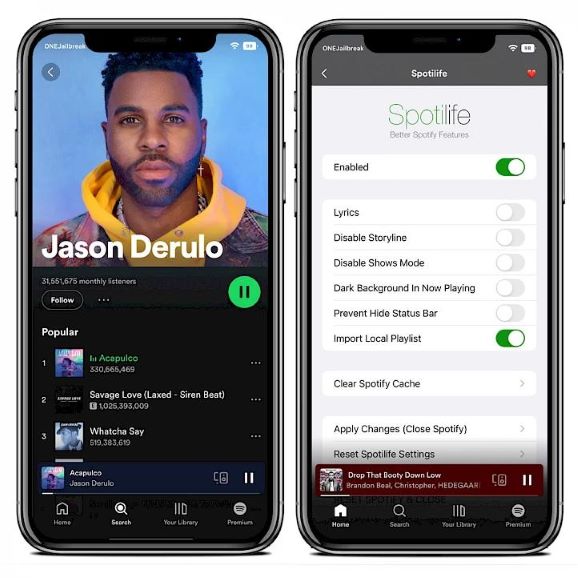 Spotilife IPA