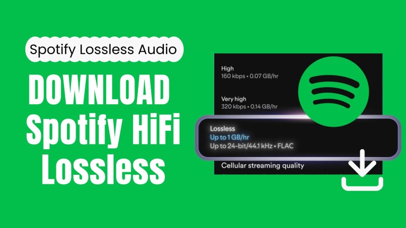 Download Spotify Lossless Audio to FLAC