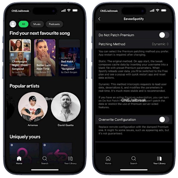 EeveeSpotify IPA