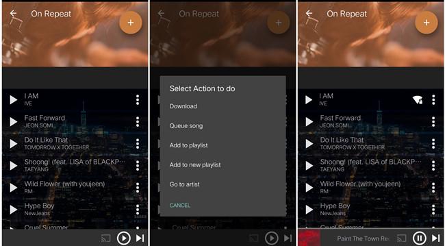 Fildo Spotify downloader