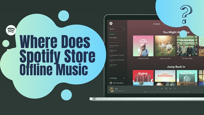 where spotify stores offline music