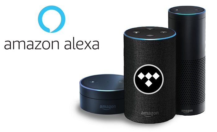 play tidal music on alexa