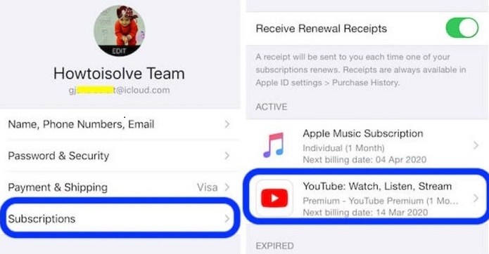 cancel YouTube Music subscription on  your iPhone